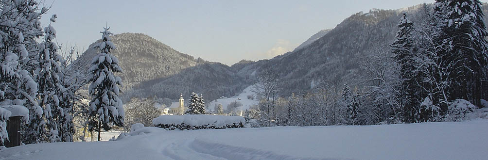Urlaub im Almtal - Almsee